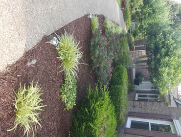 Mulch and bed development New bed development and mulching.