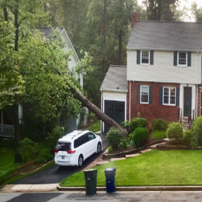 New Fairfield Tree Service
