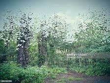 Photos by Garden Water Damage Experts #1