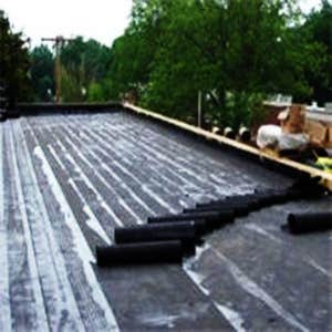 Roof Maintenance