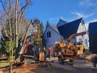 Photos by Green Point Tree Services & Landscaping #4