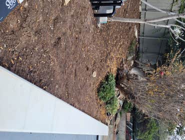 Before planting & mulch