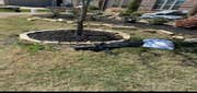 Photos by Jeremias Lawn Care Expert #1