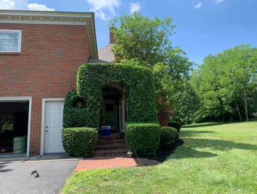 Photos by Prestige Lawn Care LLC #1