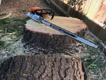Photos by Jr & Dubon Tree Service #1
