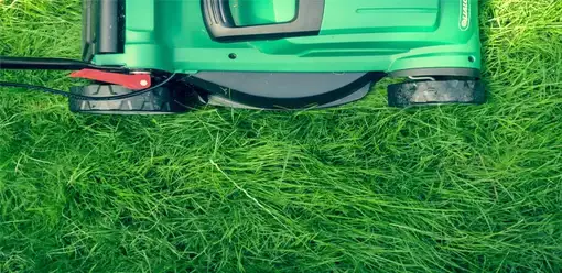 Turf Medic LLC