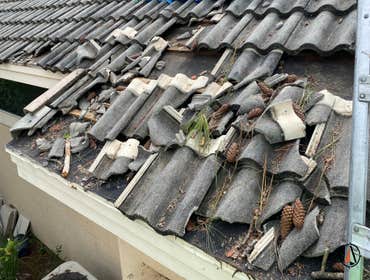 Northmen Roofing - Tile Roof Storm Damage - Dr Phillips FL Pre & Post Hurricane Prep
At Northmen Roofing we are committed to our loyal clients in cent