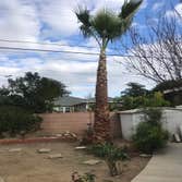 Photos by Tzuban Tree Services #1