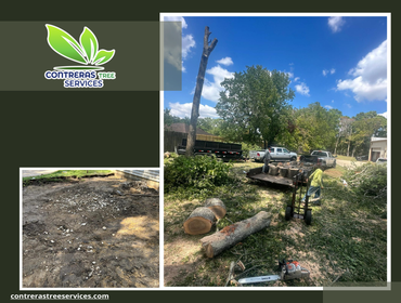 Photos by Contreras Tree Services #31