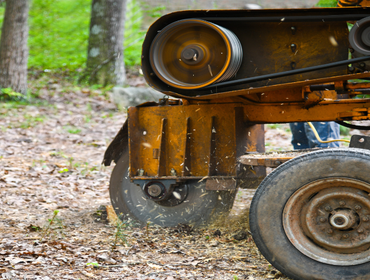 Photos by Bridgewater Stump Grinding #1