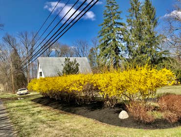 Photos by Castro Landscaping Inc #3