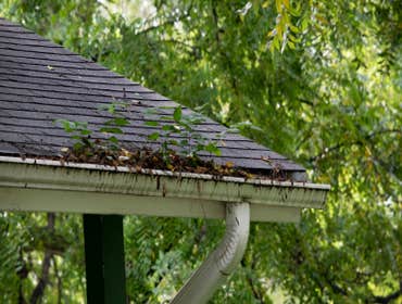 Photos by Historic City Gutter Solutions #1