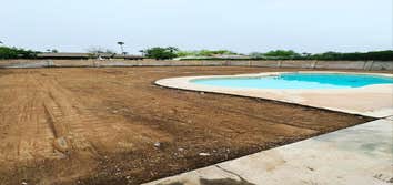 Clear and Regrade Yard
