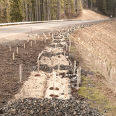 Jacksonville Hydroseeding