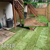Irish Lawn and Landscaping