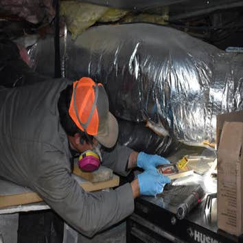 Rambo Total Pest Control-puyallup