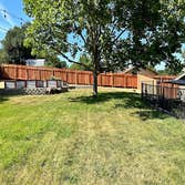 Photos by Froggy Fence #1