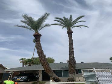 Photos by Valley View Landscape LLC #1
