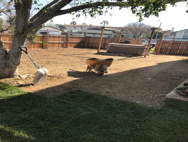 Photos from Noriega and Sons Landscape Corp