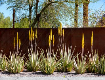 CHINO CANYON HOUSE