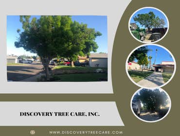 Photos by Discovery Tree Care, Inc #13
