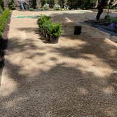 Photos by Francisco Landscaping & Gardening #3