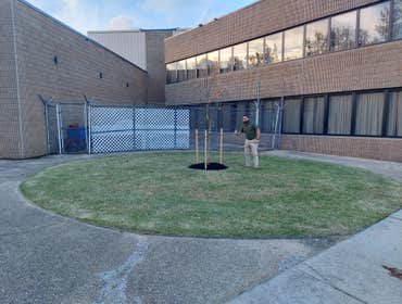 Photos by Acosta Landscaping LLC #21