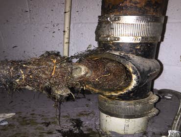 Photos from Axis Plumbing Inc.