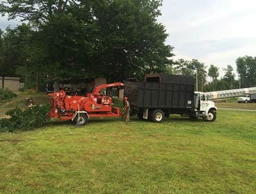 Photos by Princeton Tree Services, Inc #1