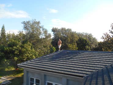 Photo(s) from JF Martinez General and Roofing Contractor Residential Projects