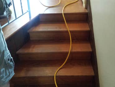 PREMIER HARDWOOD RESTORATIONS vs. PET STAINS Red oak hardwood damaged by pets stains. Job to be sand and finished with a dark walnut stain to hide/camo