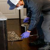 Photos by Green Shield Pest Solutions #1 We use family and pet-friendly products to eliminate pests from your home or business.