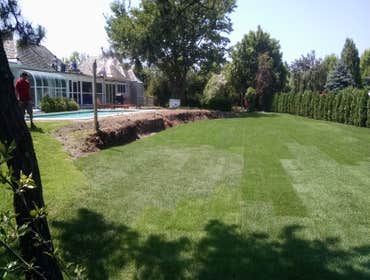 PROPERTY RENOVATION AND SOD AND EVERGREEN INSTALLED DEMOLITION AND REMOVAL OF OVERGROWN FOUNDATION PLANTS , TREES, STUMPS, VINES AND BRUSH,
RENOVATION