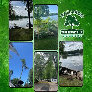 Photos by Gallardo Tree Service LLC #8