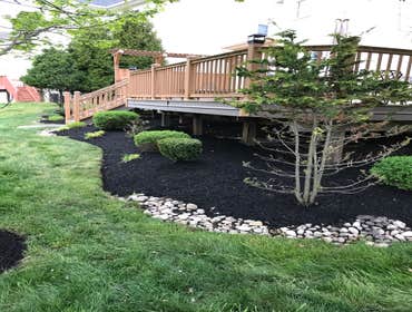 Photos by Ed Francos Simply Green, LLC #1
