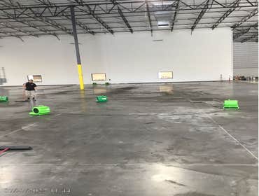 Photos by Servpro #1
