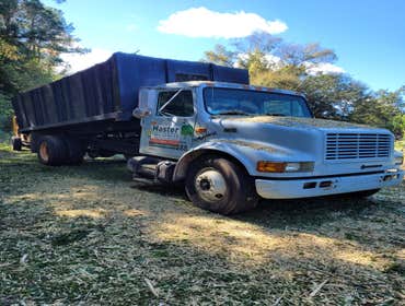 Photos by Master Tree Service LLC #4