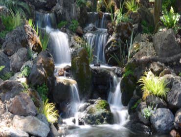 Photo(s) from Frenchs Waterscapes
