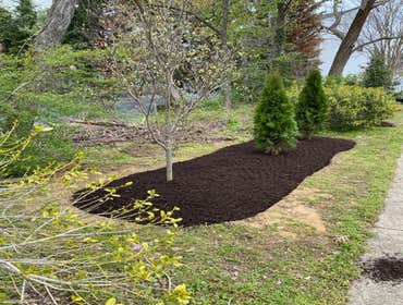 Photos by Sg Gonzalez Landscaping & Maintenance LLC #1