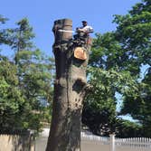 Photos by Genie Tree Services LLC #4