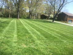 Photos by Don Cele Landscaping #1