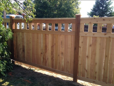 Cedar