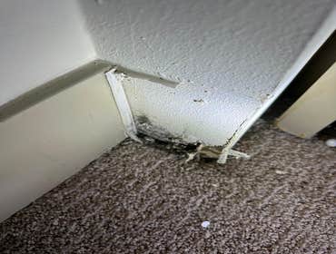 Water Mitigation This project was a roof leak the photos show initial inspection to post demo.