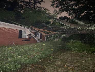Photos by All Clean Disaster Services LLC #1