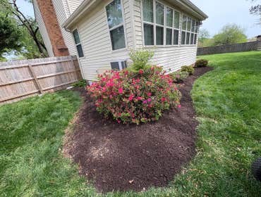 Photos by Beauty Meister Landscaping LLC #2