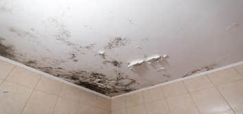 Photos by Restoremasters Water Damage & Fire Restoration #1