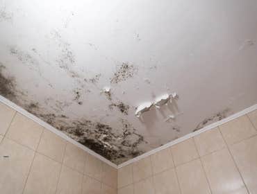 Photos by Restoremasters Water Damage & Fire Restoration #1
