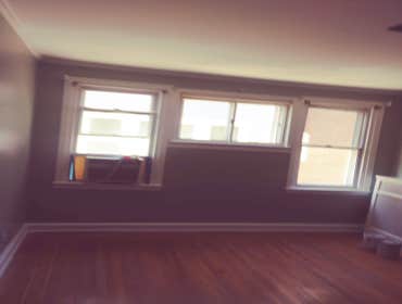 Photos by Silverback Painting Solutions #1