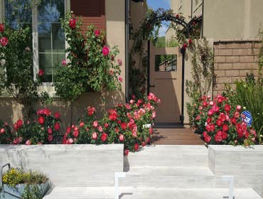 123 bridle path