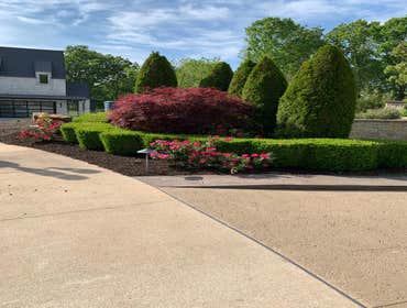 Photos by CLJ Lawn Service #6